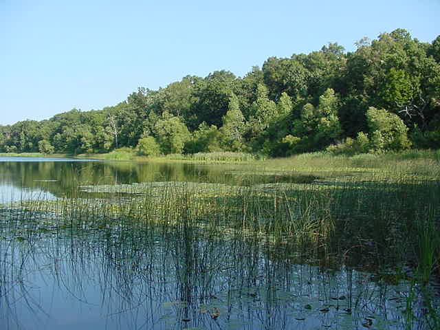 ll